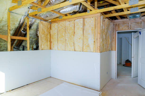 Best Local Insulation Services  in Lacy Lakeview, TX