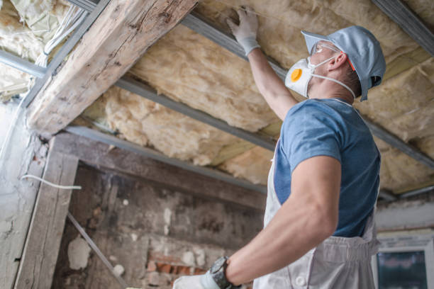Best Insulation Repair Services  in Lacy Lakeview, TX