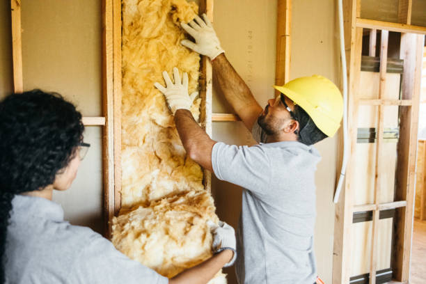 Best Professional Insulation Contractor  in Lacy Lakeview, TX