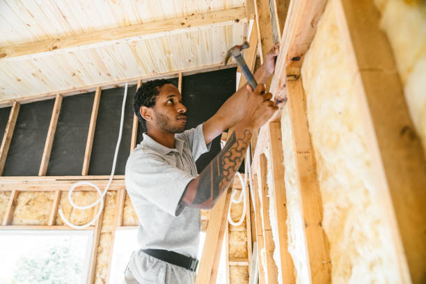 Best Spray Foam Insulation  in Lacy Lakeview, TX