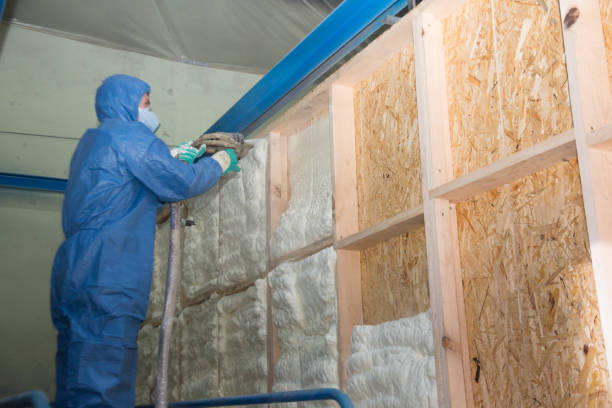 Best Blown-in Insulation  in Lacy Lakeview, TX