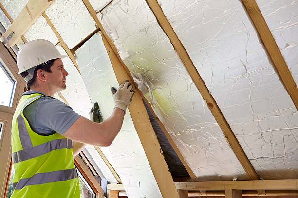 Best Residential Insulation Services  in Lacy Lakeview, TX